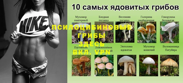 каннабис Богородск