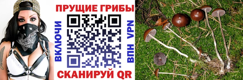 мега как войти  Балахна  Псилоцибиновые грибы мухоморы 