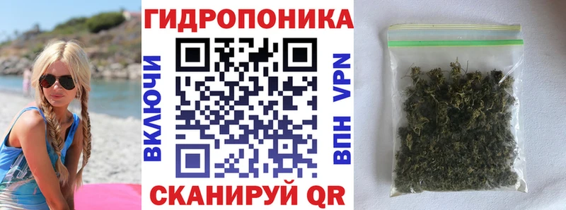 Шишки марихуана тримм  наркотики  Балахна 